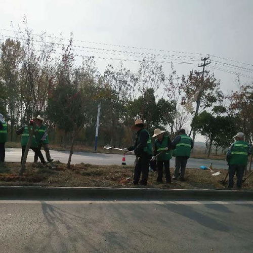 經(jīng)開區(qū)市政園林綠化工程推薦 秋樂園林，價格優(yōu)惠助力城市綠化管理