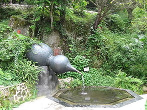 園林與建筑 從設計到施工的全方位服務