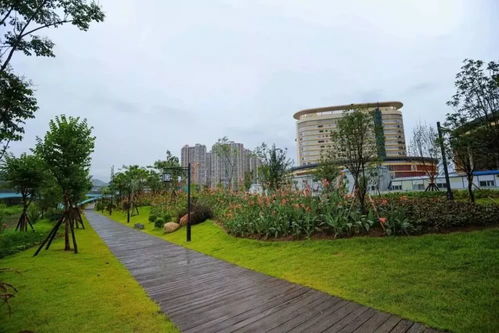 《龍巖市城市綠化條例》2020年施行 綠化帶禁止停車種菜，規范園林綠化工程施工