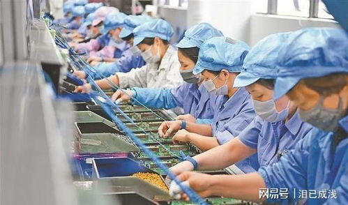電子廠中工作關系的社會觀察 多維因素下的互動模式